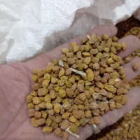 نخود زرد درجه 1