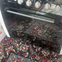 گازفردار