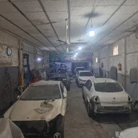 صافکار نقاش