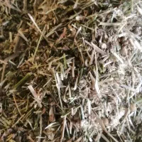محصولات کشاورزی