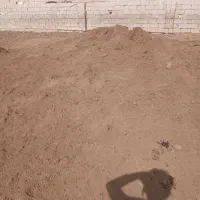 فضولات گوسفند
