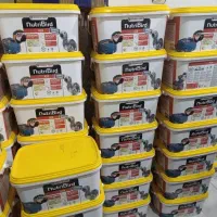 سرلاک آ۱۹ ورسلگا