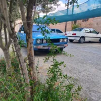 کارینا کولردار...