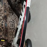 دوچرخه VIVA خشک|دوچرخه، اسکیت، اسکوتر|خان ببین, |دیوار