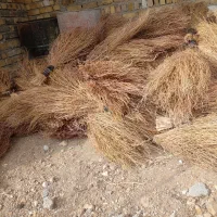 جارو|لوازم نظافت|سردرود, |دیوار