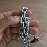 زنجیرآلوچه ای