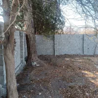 250مترزمین-باغچه-ویلا-آب-برق-گاز-کاربری-باغ-ویلا