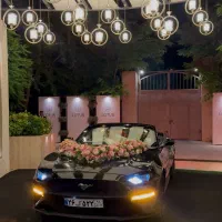 اجاره ماشین عروس|خدمات پذیرایی، مراسم|ری, فیروزآبادی|دیوار