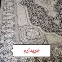 فروش فرش|فرش|بیرجند, |دیوار