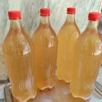 آبغوره محلی