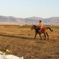اسب