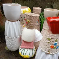 گلدان های سفالی سالم|گل و گیاه طبیعی|لاهیجان, کوی خزر|دیوار