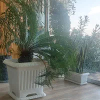 جذب مشاورفعال/آقا/خانم/تهراندشت/هشتگرد|استخدام بازاریابی و فروش|هشتگرد, تهران دشت|دیوار