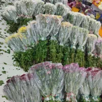 فروش عمده گل نرگس مستقیم از مزرعه به سراسر کشور|گل و گیاه طبیعی|شیراز, جوادیه|دیوار
