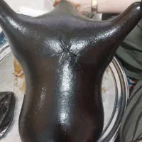 هیزه گوسفندی