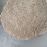 نان تیری|خوردنی و آشامیدنی|شیراز, شهرک بزین|دیوار