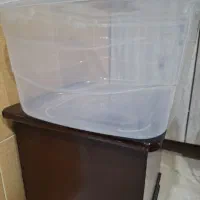 ظرف در دار بزرگ