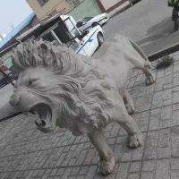 مجسمه فایبر شیر|مصالح و تجهیزات ساختمان|اسلام‌شهر, شهرک قائمیه|دیوار