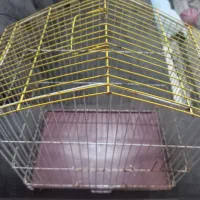 قفس کوچک پرنده|لوازم جانبی حیوانات|رشت, شهرک صبا|دیوار