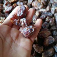 خرما کبکاب درجه یک