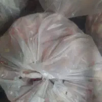 اسکلت مرغ