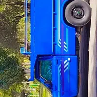 نیسان دوگانه سوزآپشنال