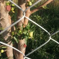 باغ-ویلادر-اهرنزدیک-یل-سویی-هم-خرید-وهم-معاوضه