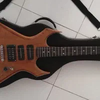 گیتار الکتریک فقط خاص پسندان