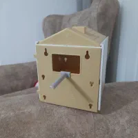 مرغ عشق ،قفس،لانه،کوزه|پرنده|شاهرود, |دیوار