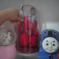 خرس نو|اسباب‌‌بازی|ری, دولت‌آباد|دیوار