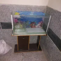 اکواریوم بزرگ معاوضه با کوچیک
