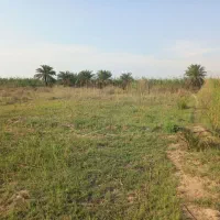زمین-زراعی