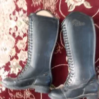 کتابخانه،سالم،|کتابخانه، شلف، قفسه‌های دیواری|سامان, |دیوار