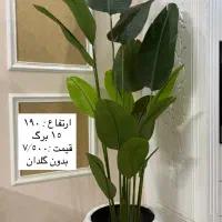 گالری سبز مهتاب ( درختچه مصنوعی پرنده بهشتی )