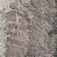 یونجه|لوازم جانبی حیوانات|نمین, |دیوار