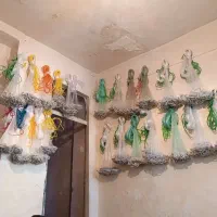 تور چطری و دام