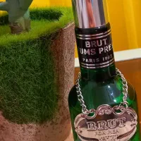 ادکلنهای اصلی ۱۰۰ میل با بوی بسیار جذاب|آرایشی، بهداشتی، درمانی|قائمشهر, |دیوار