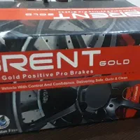 لنت ۲۰۶ و رانا