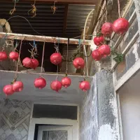 خانه-ای-یک-خوابه-برای-رهن-وکرایه