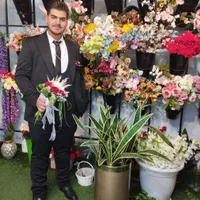 فیلمبردار مجالس|خدمات پذیرایی، مراسم|نیشابور, |دیوار