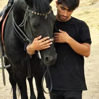 کرایه اسب و آموزش اسب سواری و سوارکاری|اسب و تجهیزات اسبسواری|تبریز, |دیوار