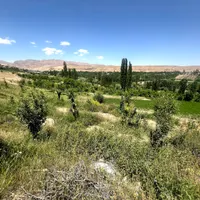 اسکان فیروزکوه