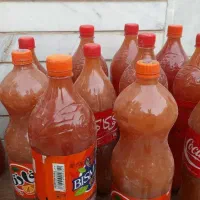 کشمش،آبغوره،کله پاچه،شیره انگور|خوردنی و آشامیدنی|مشهد, مشکینی (شهرک غرب)|دیوار