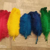 رنگ آمیزی و تغییر رنگ شستشو پر علم علامت پر فروشی
