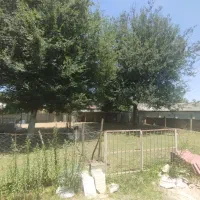 فروش چکی زمین مسکونی|فروش زمین و ملک کلنگی|ماکلوان, |دیوار