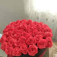 گل روبانی