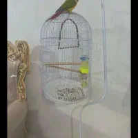 چند مدل قفس پرنده