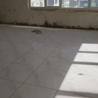 سنگ کار کاشی کار|خدمات پیشه و مهارت|سریش آباد, |دیوار