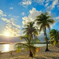 پلتفرم تبلیغاتی رایگان کیش در روبیکا