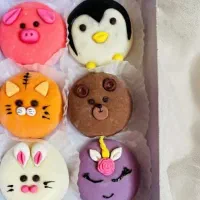 دوره آموزشی فیلینگ|خدمات آموزشی|زاهدان, |دیوار